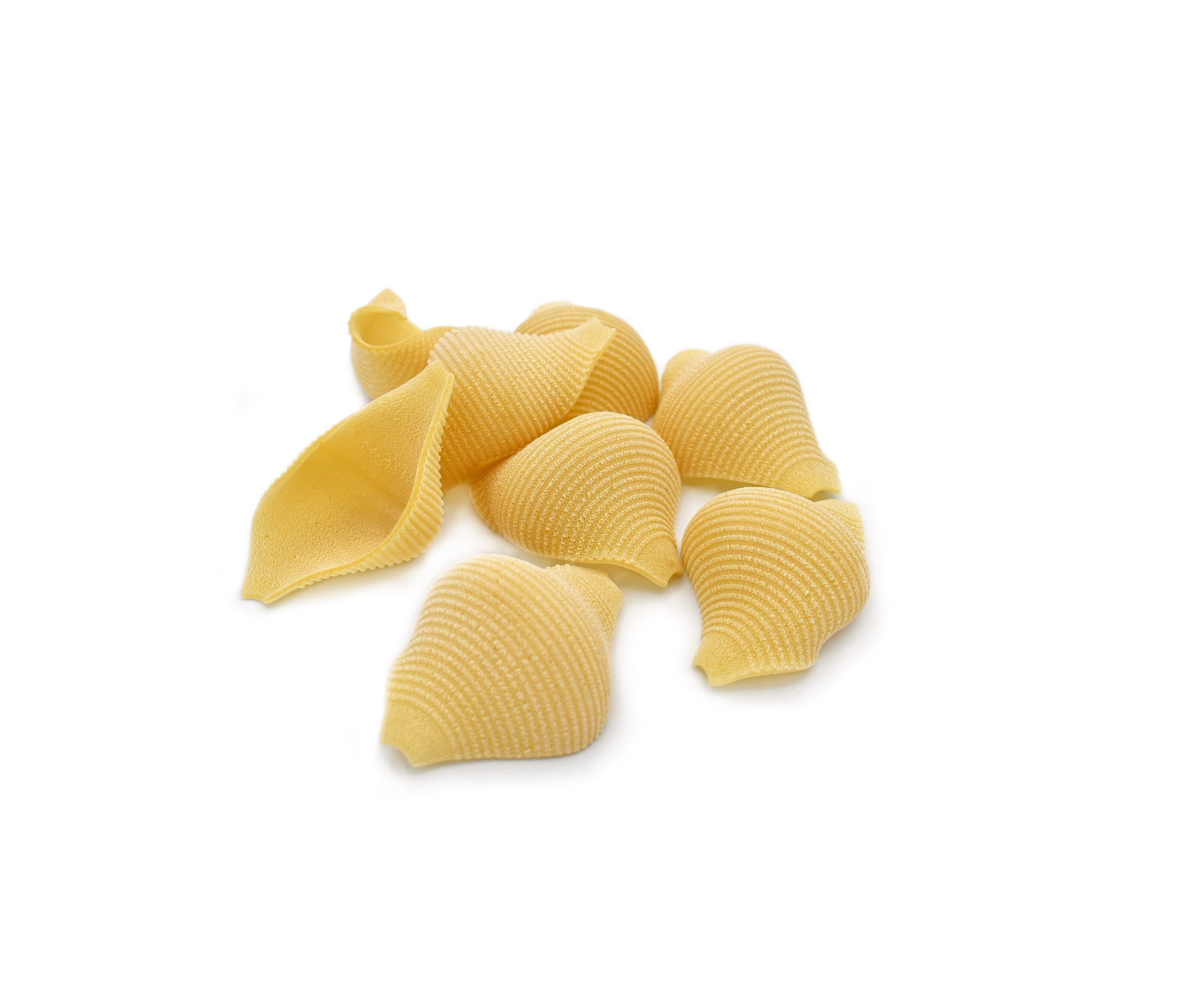 Conchiglioni Astorino - Pasta Artigianale con Grani Antichi