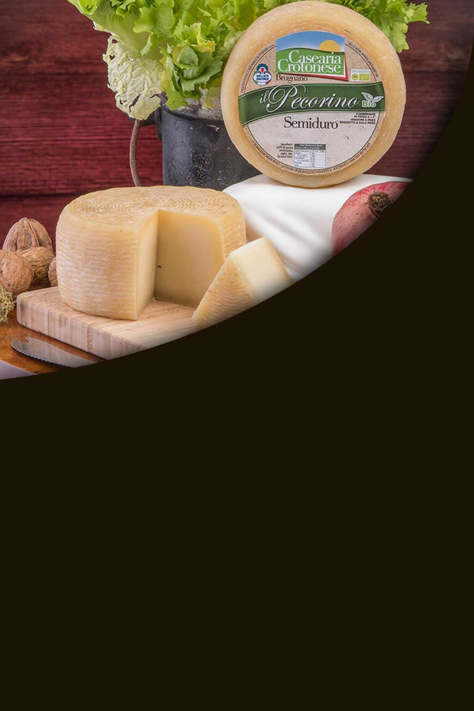 Pecorino Semiduro - Crotonese nobile DOP Casearia Brugnano