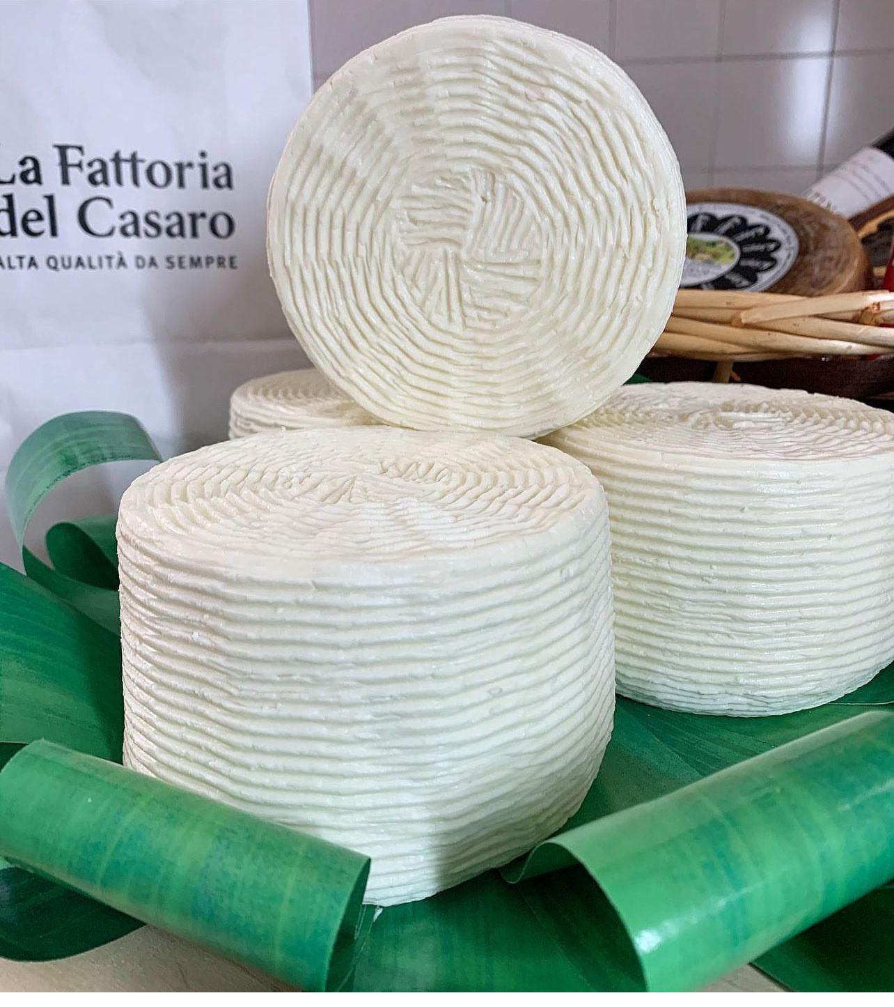 Caprino Primo Sale Fattoria del Casaro - Formaggio