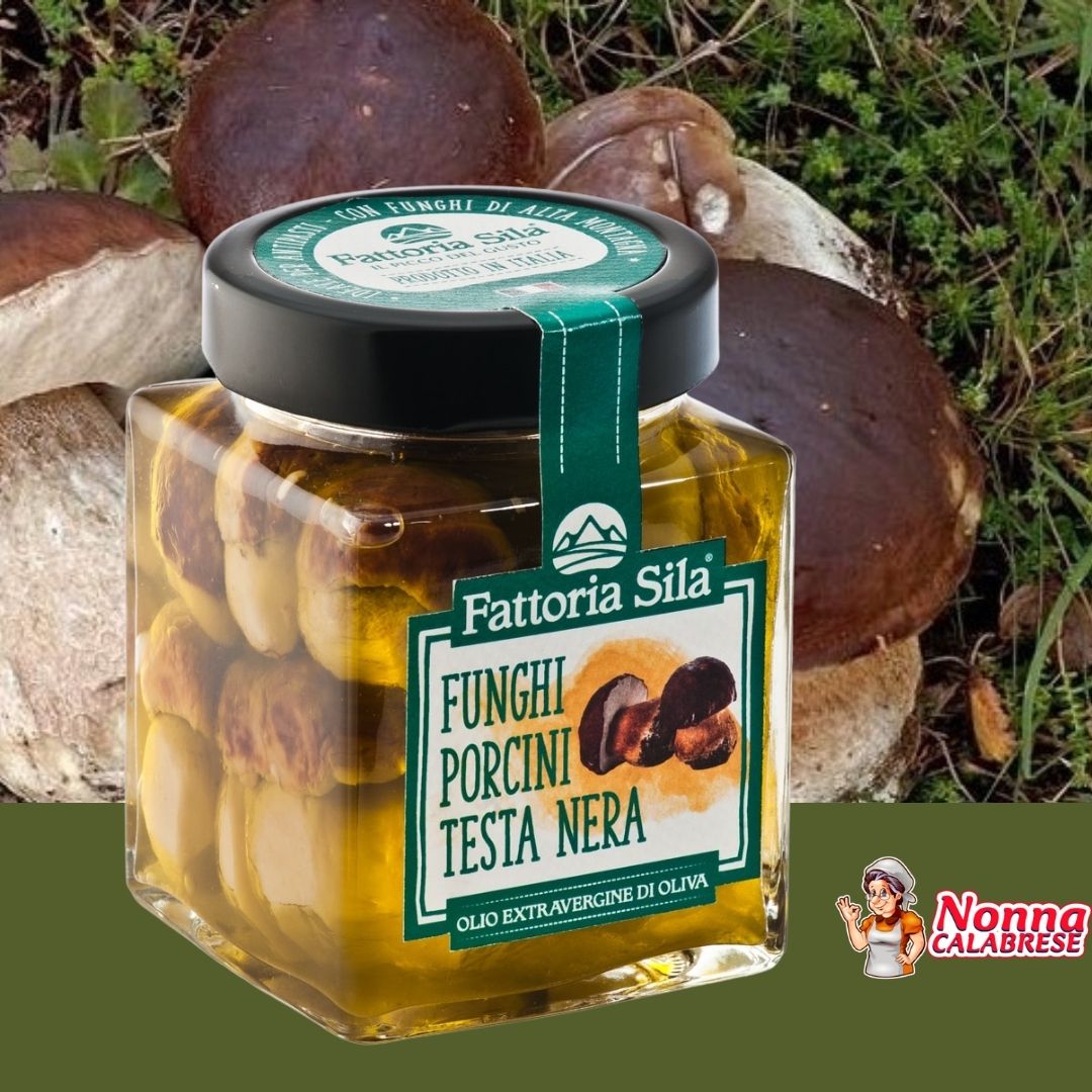 Funghi Porcini Testa Nera In Olio Extra Vergine di Oliva di