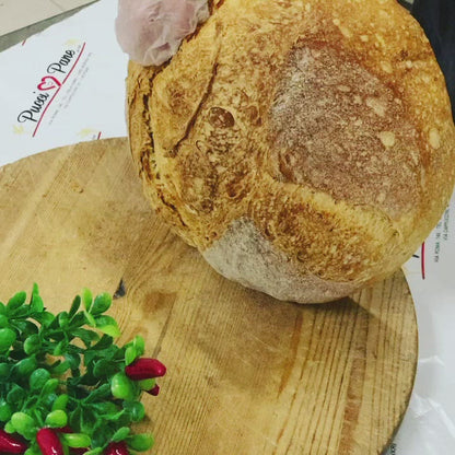 Fresh Calabrian Artisan Bread with Scented and Crunchy Sourdough 1 kg